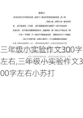 三年级小实验作文300字左右,三年级小实验作文300字左右小苏打-第1张图片-星梦范文网