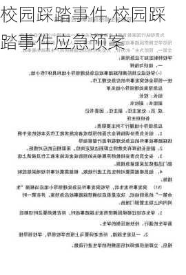 校园踩踏事件,校园踩踏事件应急预案-第3张图片-星梦范文网