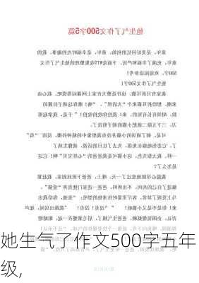 她生气了作文500字五年级,-第3张图片-星梦范文网