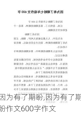 因为有了期盼,因为有了期盼作文600字作文-第3张图片-星梦范文网