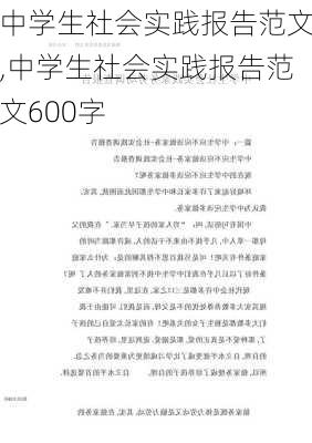 中学生社会实践报告范文,中学生社会实践报告范文600字-第2张图片-星梦范文网