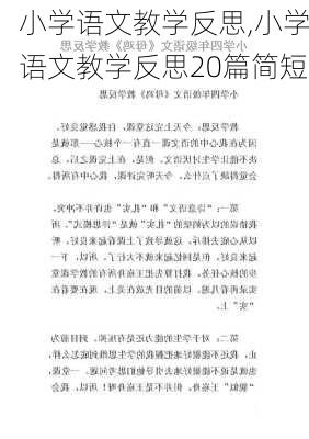 小学语文教学反思,小学语文教学反思20篇简短-第3张图片-星梦范文网