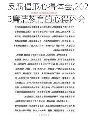 反腐倡廉心得体会,2023廉洁教育的心得体会-第2张图片-星梦范文网