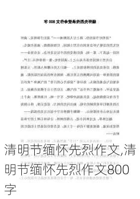 清明节缅怀先烈作文,清明节缅怀先烈作文800字