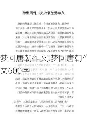 梦回唐朝作文,梦回唐朝作文600字-第2张图片-星梦范文网