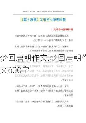 梦回唐朝作文,梦回唐朝作文600字-第3张图片-星梦范文网