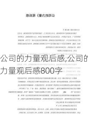 公司的力量观后感,公司的力量观后感800字