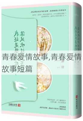 青春爱情故事,青春爱情故事短篇-第3张图片-星梦范文网