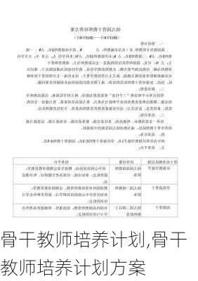 骨干教师培养计划,骨干教师培养计划方案-第3张图片-星梦范文网