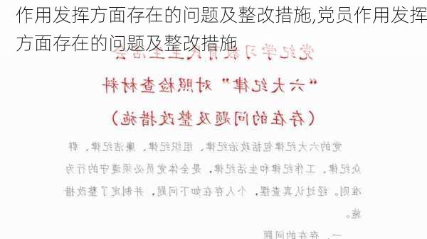 作用发挥方面存在的问题及整改措施,党员作用发挥方面存在的问题及整改措施-第1张图片-星梦范文网