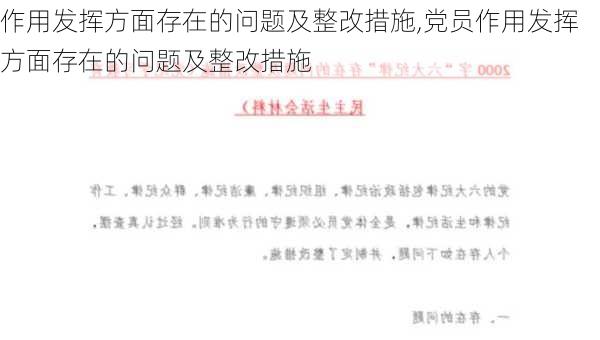 作用发挥方面存在的问题及整改措施,党员作用发挥方面存在的问题及整改措施-第2张图片-星梦范文网