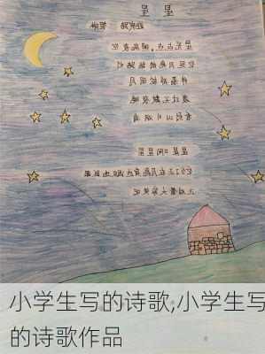 小学生写的诗歌,小学生写的诗歌作品