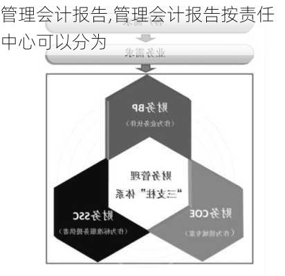 管理会计报告,管理会计报告按责任中心可以分为-第3张图片-星梦范文网