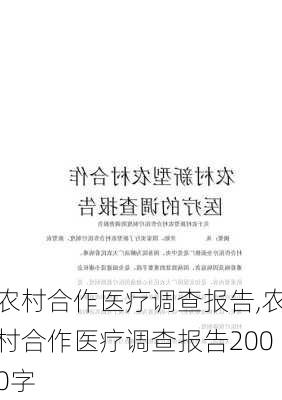 农村合作医疗调查报告,农村合作医疗调查报告2000字-第2张图片-星梦范文网