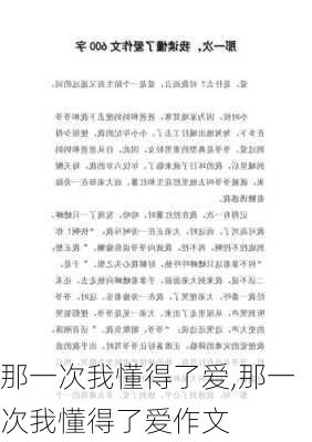 那一次我懂得了爱,那一次我懂得了爱作文