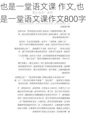 也是一堂语文课 作文,也是一堂语文课作文800字