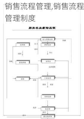 销售流程管理,销售流程管理制度-第2张图片-星梦范文网