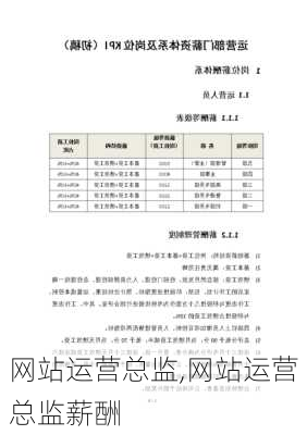 网站运营总监,网站运营总监薪酬-第2张图片-星梦范文网