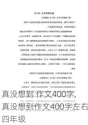 真没想到 作文400字,真没想到作文400字左右四年级-第3张图片-星梦范文网