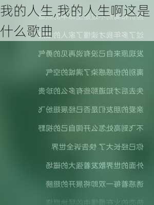 我的人生,我的人生啊这是什么歌曲-第3张图片-星梦范文网