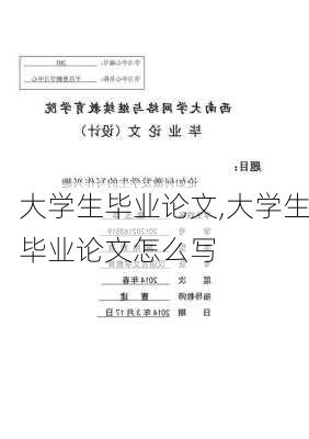 大学生毕业论文,大学生毕业论文怎么写-第2张图片-星梦范文网