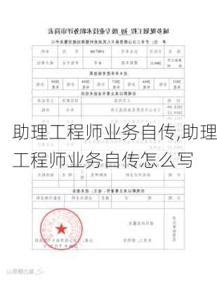 助理工程师业务自传,助理工程师业务自传怎么写-第3张图片-星梦范文网