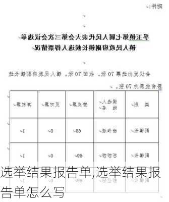 选举结果报告单,选举结果报告单怎么写