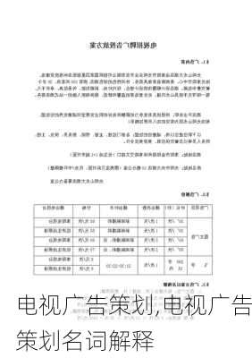 电视广告策划,电视广告策划名词解释-第3张图片-星梦范文网