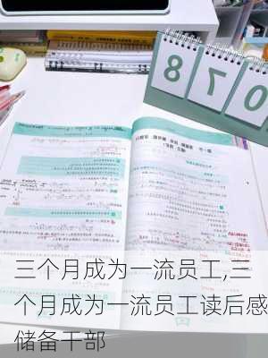 三个月成为一流员工,三个月成为一流员工读后感储备干部-第2张图片-星梦范文网