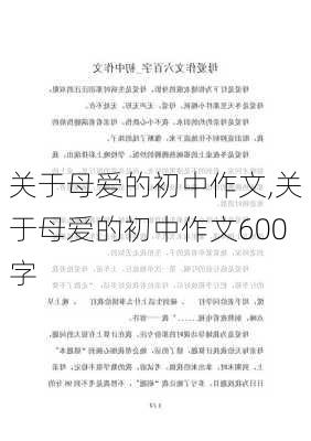 关于母爱的初中作文,关于母爱的初中作文600字