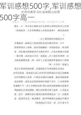 军训感想500字,军训感想500字高一-第2张图片-星梦范文网