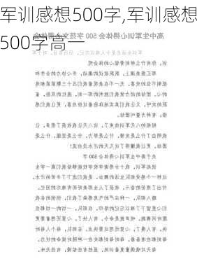 军训感想500字,军训感想500字高一-第3张图片-星梦范文网