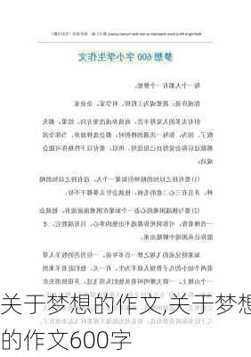 关于梦想的作文,关于梦想的作文600字-第2张图片-星梦范文网