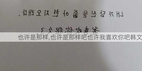 也许是那样,也许是那样吧也许我喜欢你吧韩文