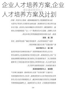 企业人才培养方案,企业人才培养方案及计划-第2张图片-星梦范文网