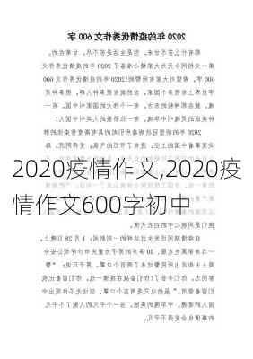 2020疫情作文,2020疫情作文600字初中-第2张图片-星梦范文网