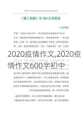 2020疫情作文,2020疫情作文600字初中-第3张图片-星梦范文网