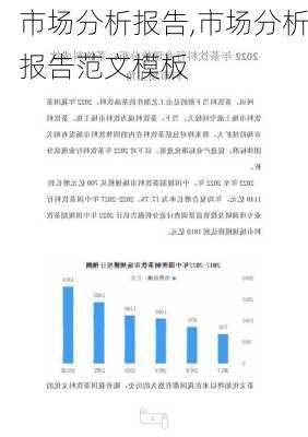 市场分析报告,市场分析报告范文模板