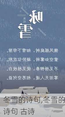 冬雪的诗句,冬雪的诗句 古诗-第3张图片-星梦范文网