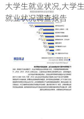 大学生就业状况,大学生就业状况调查报告