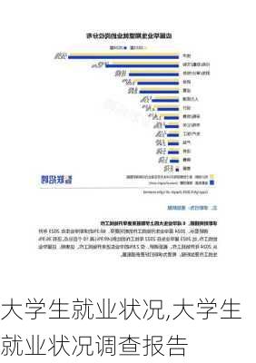 大学生就业状况,大学生就业状况调查报告-第3张图片-星梦范文网