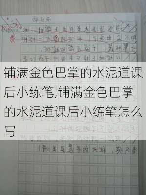 铺满金色巴掌的水泥道课后小练笔,铺满金色巴掌的水泥道课后小练笔怎么写