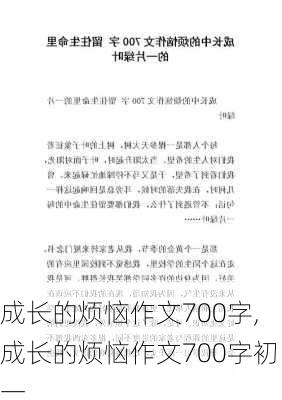 成长的烦恼作文700字,成长的烦恼作文700字初一-第3张图片-星梦范文网