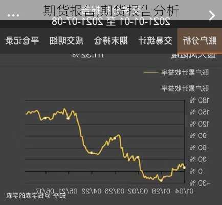 期货报告,期货报告分析-第3张图片-星梦范文网