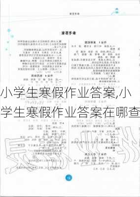 小学生寒假作业答案,小学生寒假作业答案在哪查