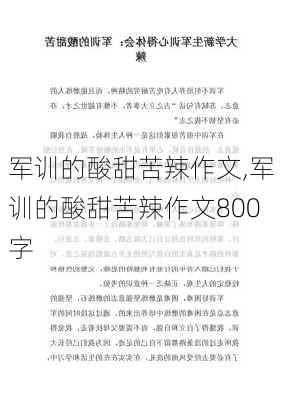 军训的酸甜苦辣作文,军训的酸甜苦辣作文800字-第2张图片-星梦范文网