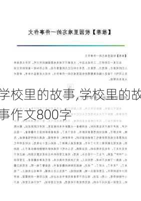 学校里的故事,学校里的故事作文800字-第3张图片-星梦范文网