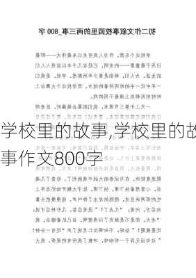 学校里的故事,学校里的故事作文800字-第2张图片-星梦范文网