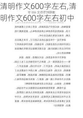 清明作文600字左右,清明作文600字左右初中-第3张图片-星梦范文网