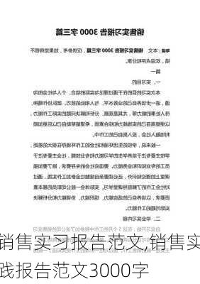 销售实习报告范文,销售实践报告范文3000字-第1张图片-星梦范文网